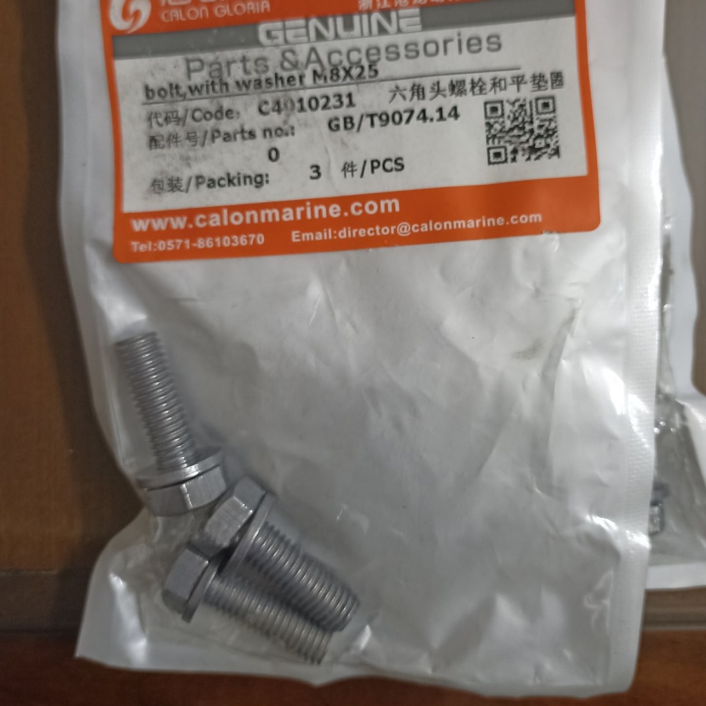 Bolt with Washer M8X25