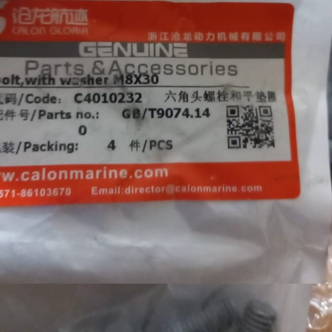 Bolt with Washer M8X30