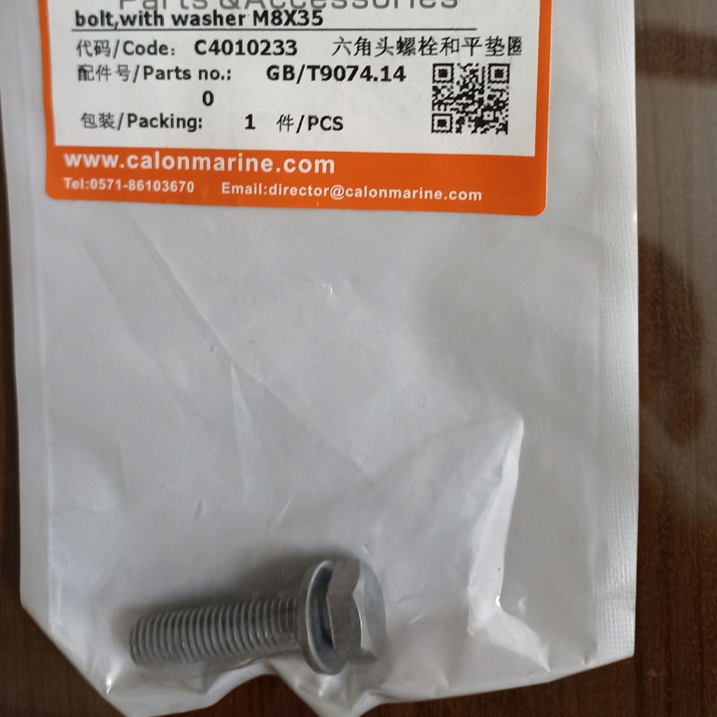 Bolt with Washer M8X35