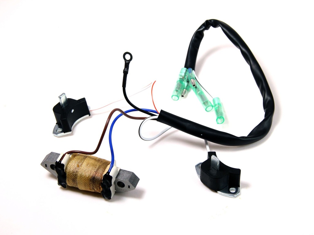 Charging Coil & Ignition Coil Comp