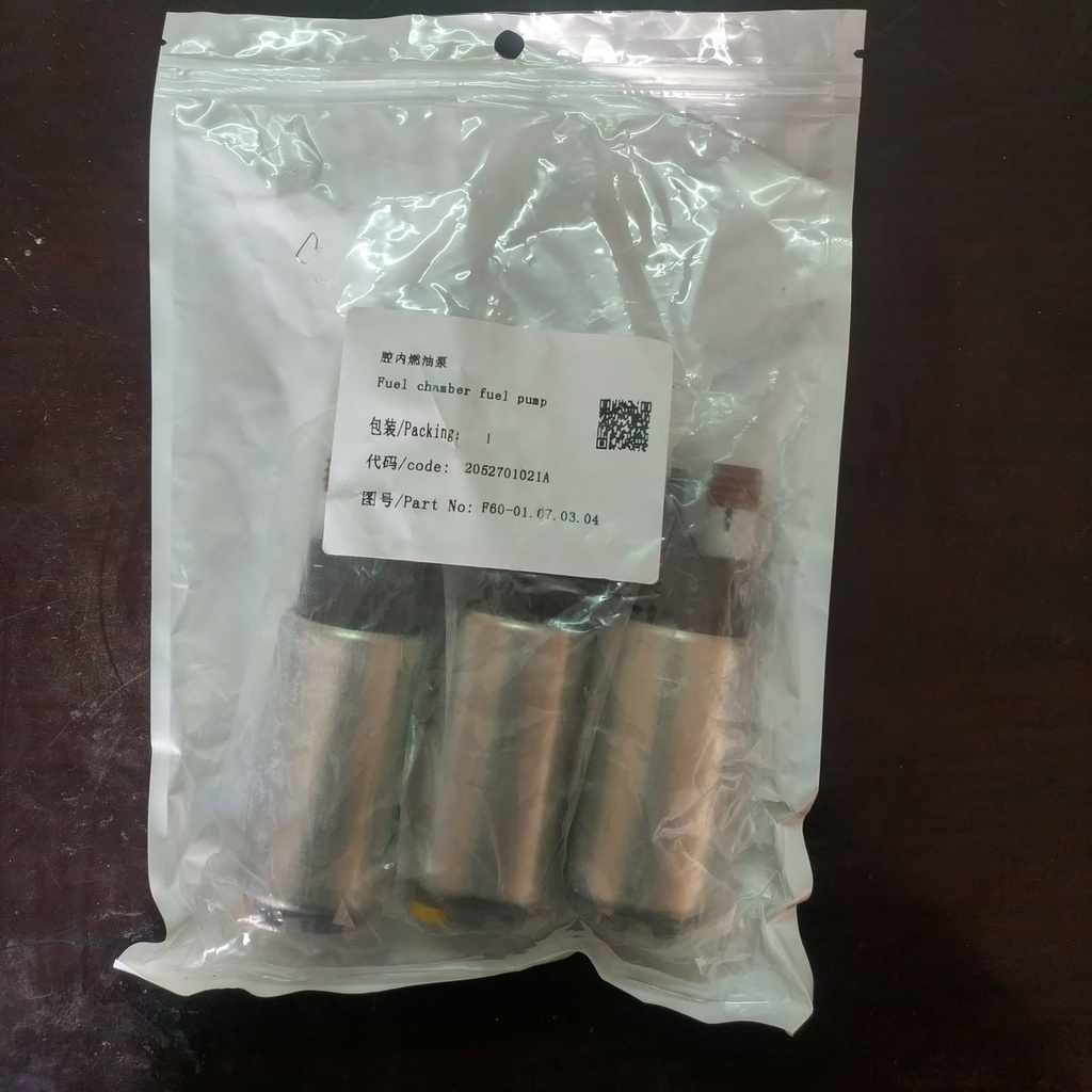 In-Cavity Fuel Pump/Fuel Chamber Fuel Pump