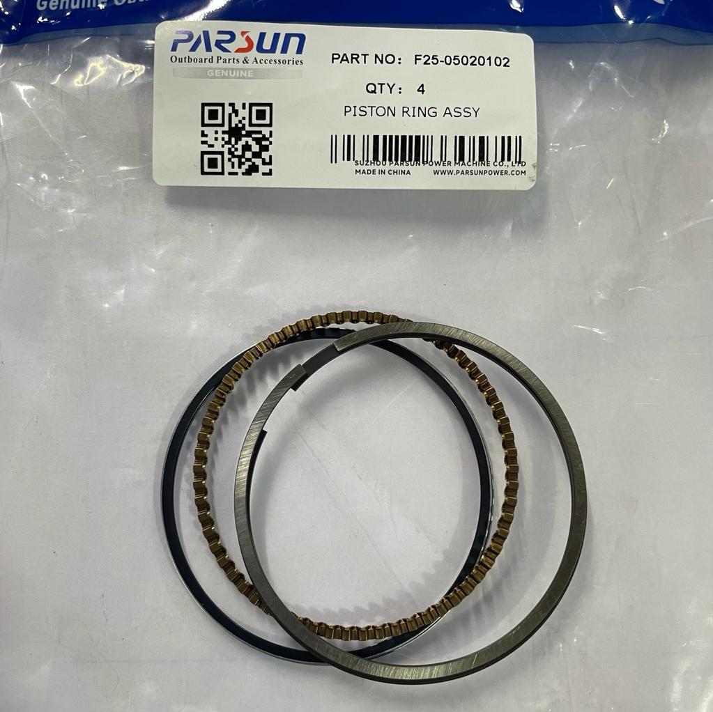 Piston Ring Assy