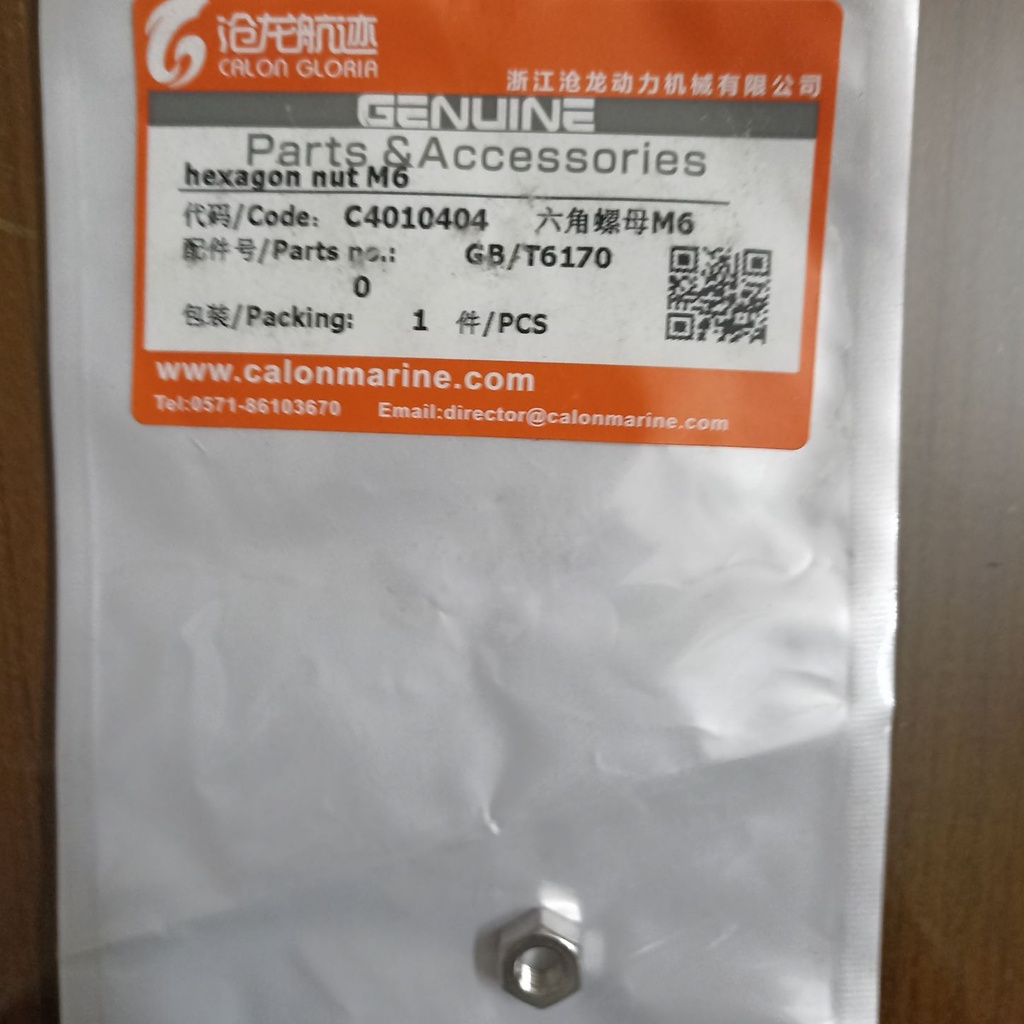 hexagon nut M6