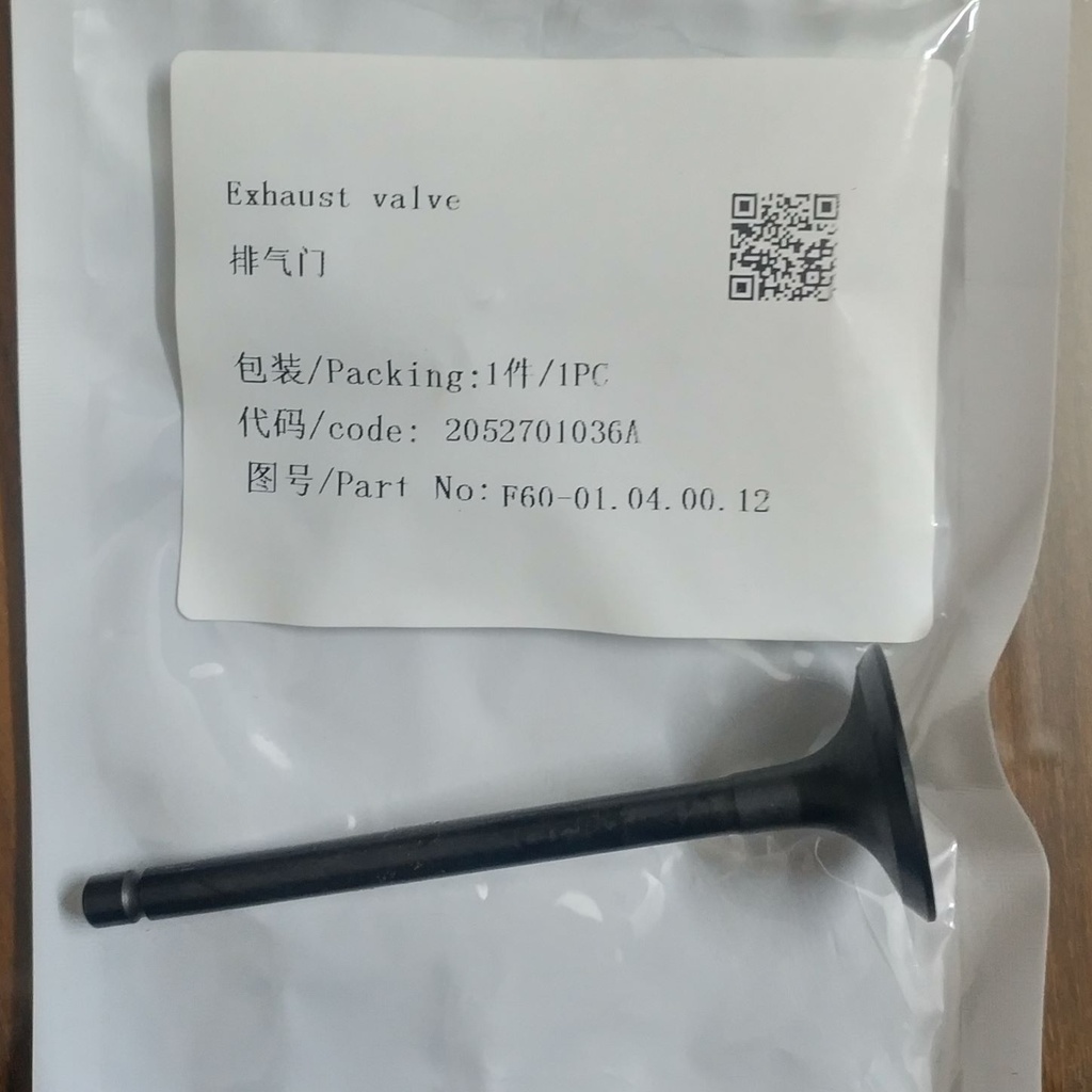 Exhaust Valve 
