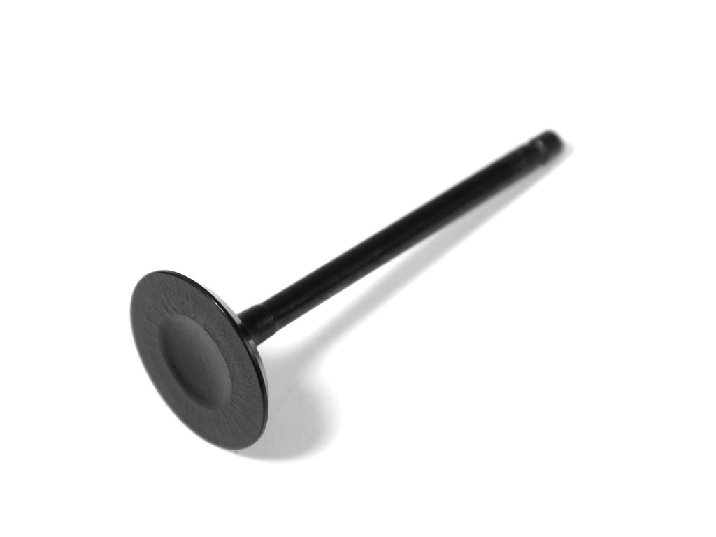 Intake Valve