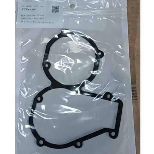 [010513025] Air Intake Valve Seat Gasket