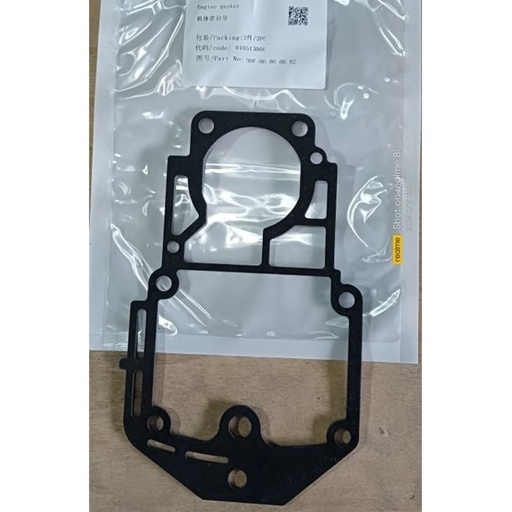 [010513060] Engine Gasket