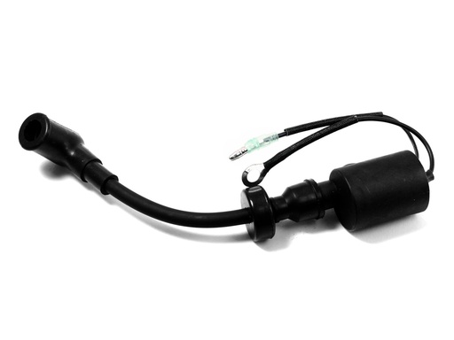 [30F-01.02.07.00] Ignition coil (short)