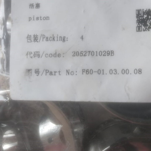 [F60-01.03.00.08] Piston