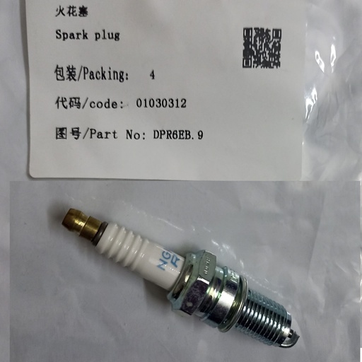 [DPR6EB-9(F25)] Spark plug 60HP