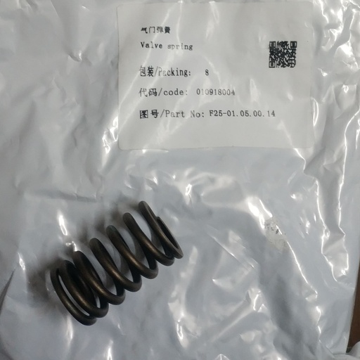 [F25-01.05.00.14] Valve spring
