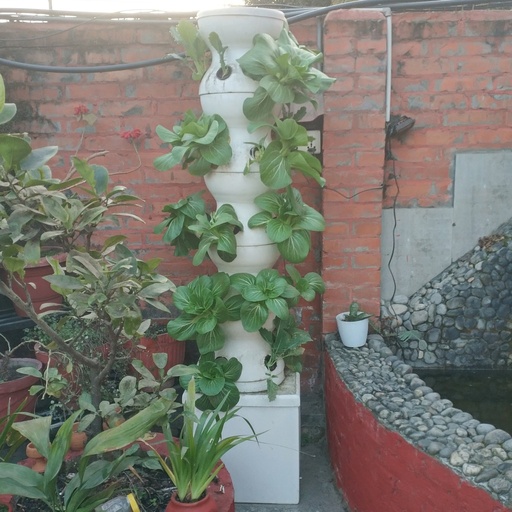 [A-HYDRO-60P] Hydroponic tower for 30 plants