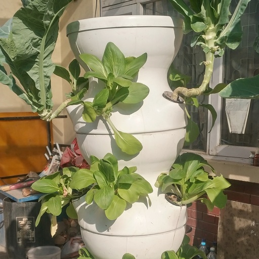 [A-HYDRO-BIN] Hydroponic single bin - 5 plants
